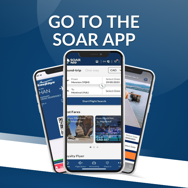 GO TO THE SOAR APP-1