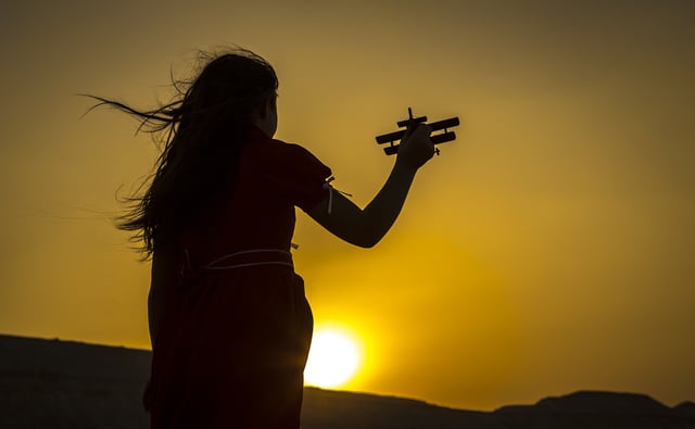 airplane-1201561_1920.jpg