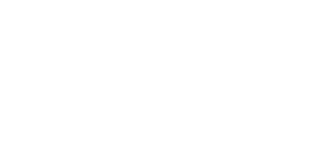 spirit